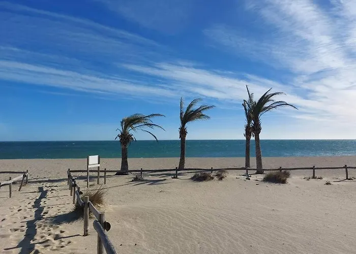 Appartement Cosy Les Pieds Dans Le Sable