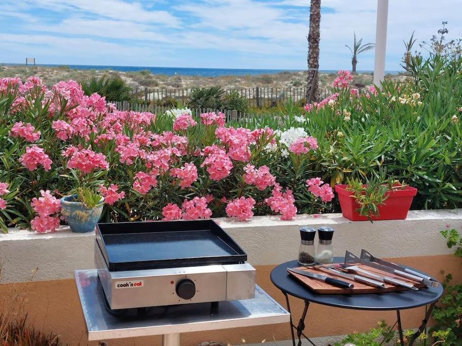 Cosy Les Pieds Dans Le Sable Apartment Le Barcares